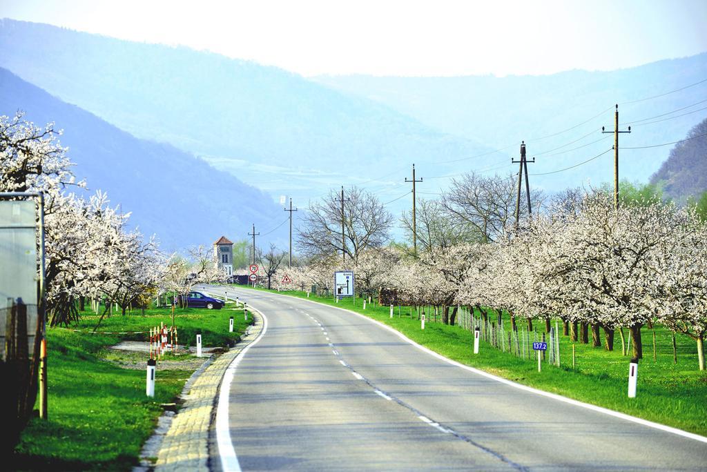 Landhaus Wachau Daire Aggsbach Dış mekan fotoğraf